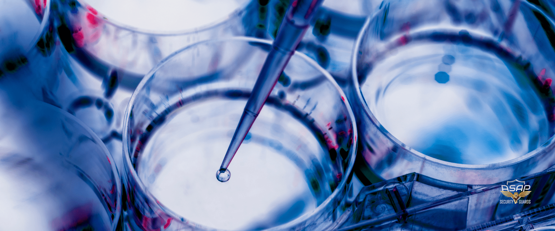 biotechnology in San Diego