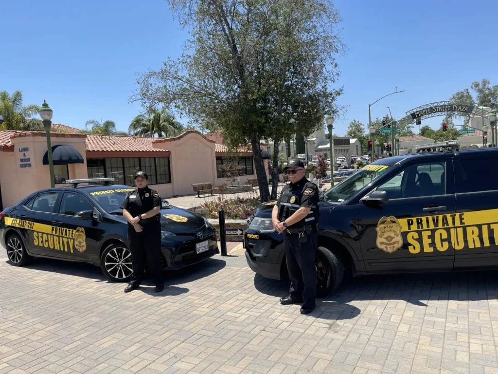 Security Guard Services and Consulting: A Guide